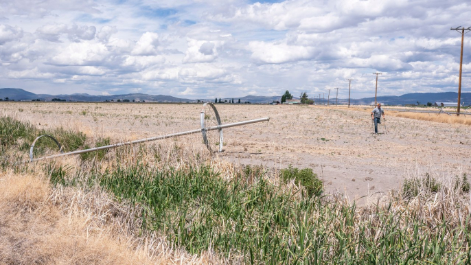 Drought continues to affect crops, diary in California