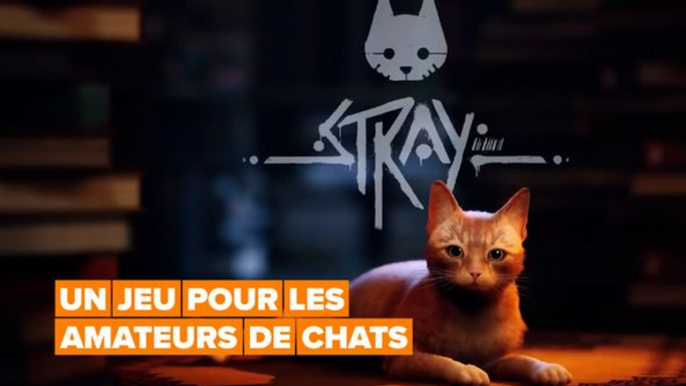 Jeux vidéo : Stray, le jeu pour les amateurs de chats