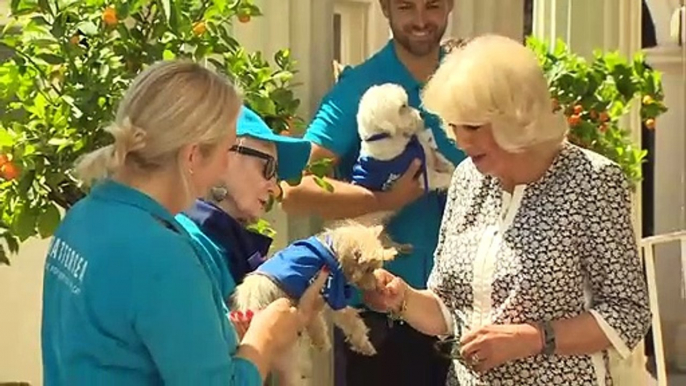 Camilla Barker-Bowles: Duchess celebrates Battersea Dogs Home