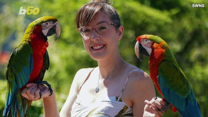 This Domesticated Parrot Flies Free Over National Parks, But Always Comes Home