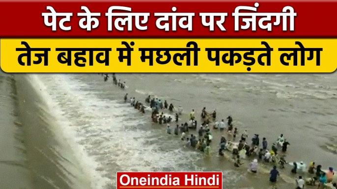 Maharashtra flood: Chandrapur में जान जोखिम में डाल मछली पकड़ते दिखे लोग | वनइंडिया हिंदी |*News