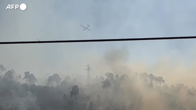 /Fiamme e siccita', muore volontaria durante rogo in Friuli