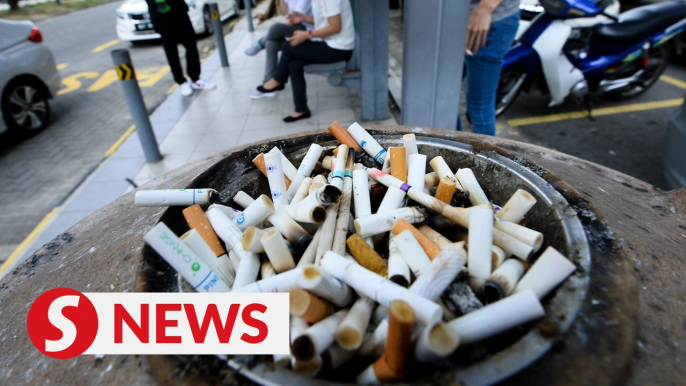 No immediate repercussions to businesses after smoking ban bill passed, says Khairy