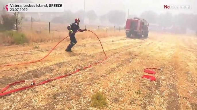 Σε εξέλιξη οι μεγάλες πυρκαγιές σε Λέσβο και Έβρο - Ξέσπασαν άλλες δύο σε Γρεβενά και Πύλο