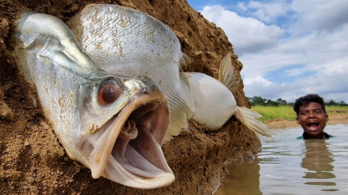 Fishing Exciting Traditional Boy Big Fishing By Hand Incredible river fish catching video#Fish