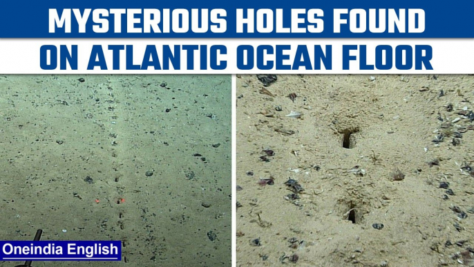 NOAA scientists find mysterious holes in Atlantic Ocean floor | See pics | Oneindia News*News