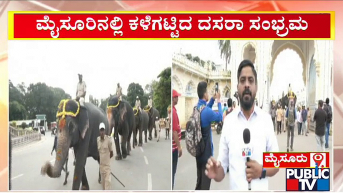 Mysuru Dasara 2022: Dasara Jumbos Set To Begin Training From Today | Public TV