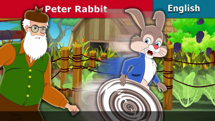 Peter Rabbit - English Fairy Tales