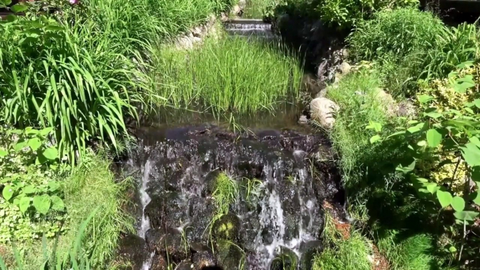 Musica Calma Para Aliviar Ansiedade , Depressão , Stress E Domir Bem , Muitas Aguas