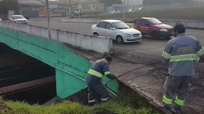 Equipes da Transitar iniciam substituição de cabos no Viaduto da Rocha Pombo