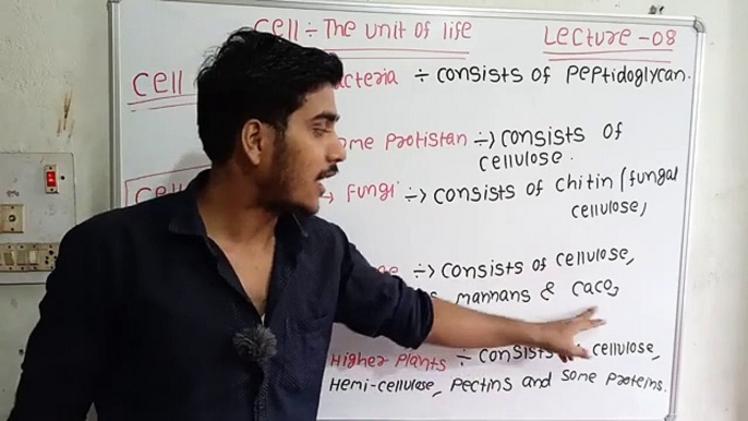 Cell wall | primary cell wall | secondary cell wall | tertiary cell wall