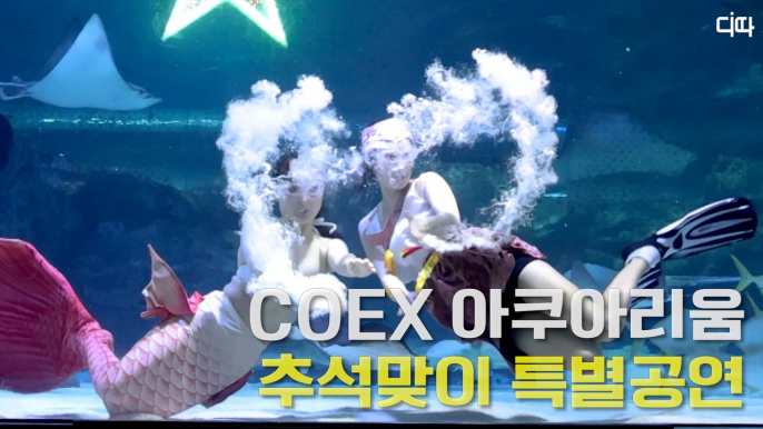 코엑스 아쿠아리움(COEX AQUARIUM) 추석맞이 특별공연 '별 빛 구출작전' / 디따