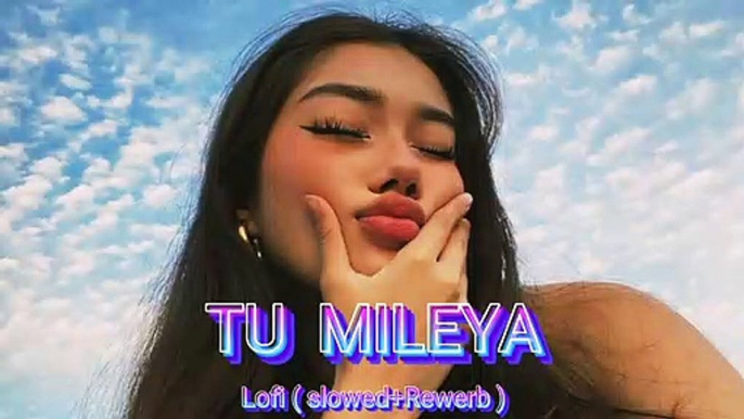 Tu Mileya ( Slowed & Reverb ) | Lofi Music | Darshan Raval, Lijo George