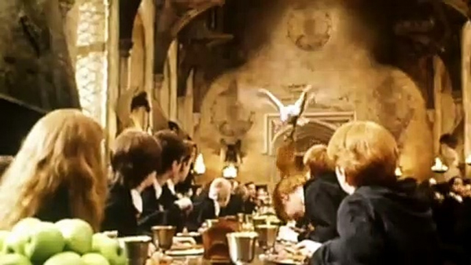 Harry Potter à l'école des sorciers Bande-annonce (FR)