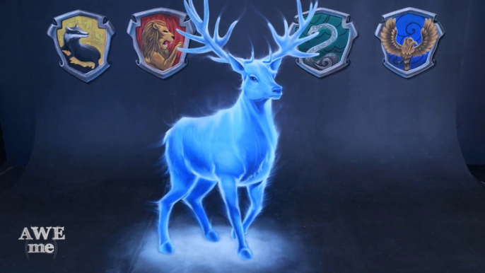 3D Chalk Art - Harry Potter's Patronus