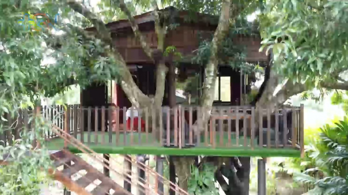 Dormir en una casa del árbol es posible en este hotel qn-Dormir en una casa del árbol es posible en este hotel -060922