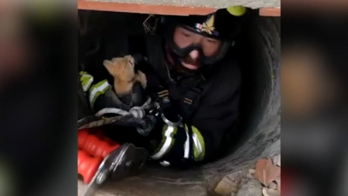 Terralba (OR) - Gattino cade in un pozzo, salvato dai Vigili del Fuoco (08.09.22)