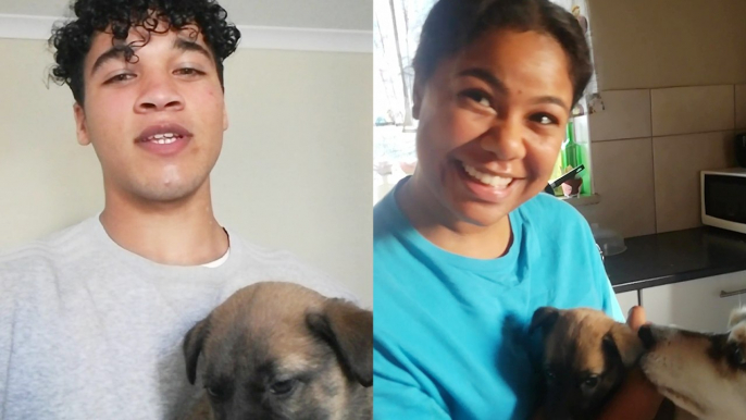Guy surprises girlfriend with an adorable puppy and she can't believe it's for her