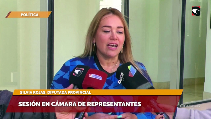 Sesión en cámara de representantes