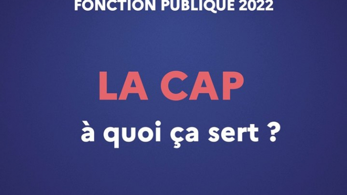 Les élections professionnelles dans le fonction publique 2022 - La CAP à quoi ça sert ?