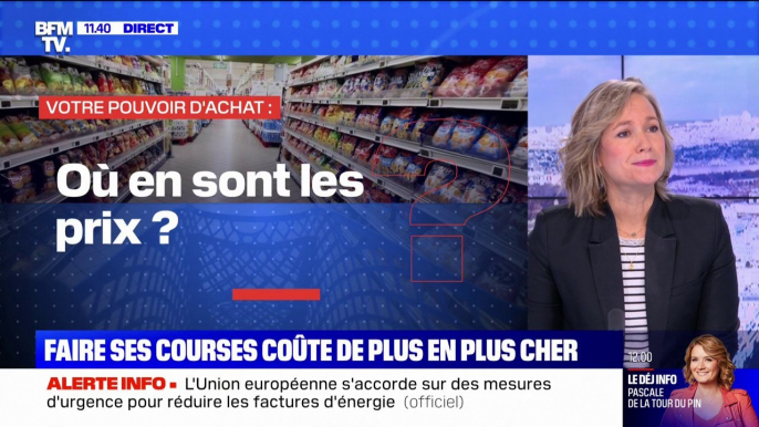 Quels sont les produits de grande consommation qui ont le plus augmenté? BFMTV répond à vos questions