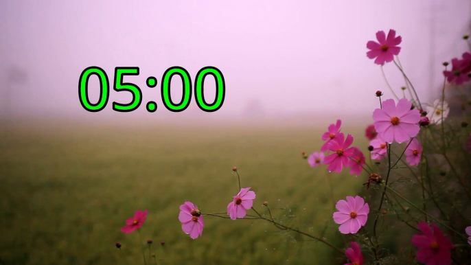 5 minute timer Flovers in nature with relaxation music - Timers Vibe