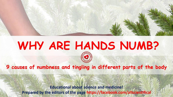 Why are hands numb? 9 causes of tingling and numbness in different parts of the body