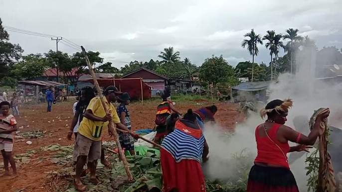 TERBARU: Tradisi Adat Batu Suku Wamena, Papua