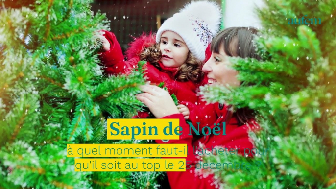 Sapin de Noël : à quel moment faut-il l'acheter pour qu'il soit au top le 25 décembre ?