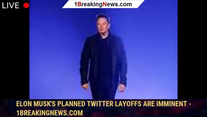 Elon Musk's planned Twitter layoffs are imminent - 1BREAKINGNEWS.COM