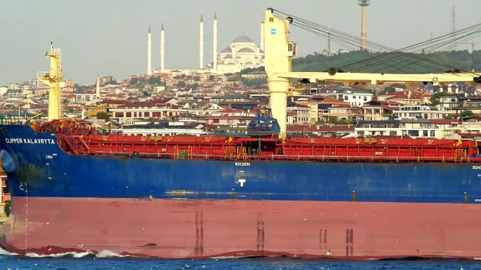 Top 10 Bulk Carrier Ships In Bosphorus! Big Waves on Coast In Storm