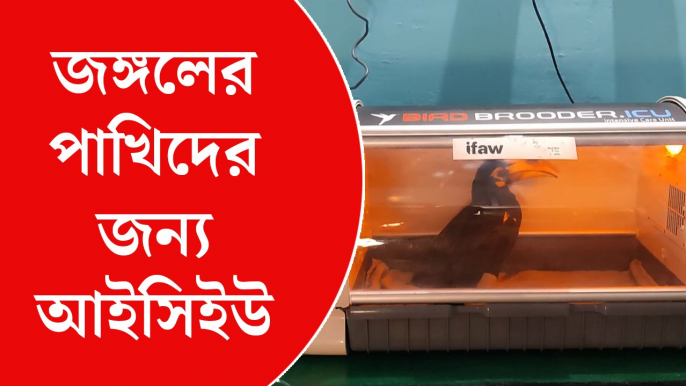 শীতে বন্য পাখিদের ঘর হবে ‘আইসিইউ’, হাতিদের দেওয়া হবে কম্বল