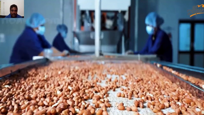 How Peanut Butter Is Made Peanut Harvesting And Processing With Modern Technology Reaction