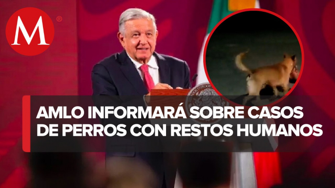 “No queremos parecer ‘Alarma’”: AMLO evita informar sobre perros con restos humanos