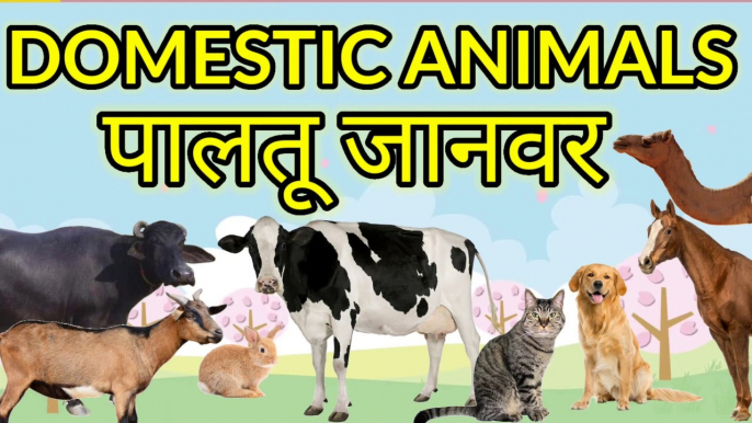 Learn Domestic Animal Names || Farm Animals for Kids in English and Hindi || पालतू जानवरों के नाम  Kids! Let's Meet Domestic Animals - Cow, Buffalo,  Cat, Dog, Hen, Camel, Donkey, Goat, Sheep, Horse, Rabbit, Pig  Farm Animals for Kids in English and Hindi