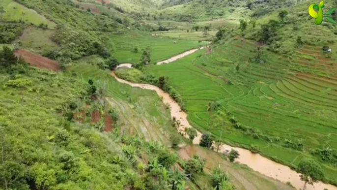 Wangsit Siliwangi   Versi Suling Sunda