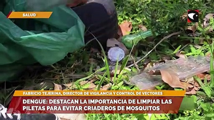 Dengue destacan la importancia de limpiar las piletas para evitar criaderos de mosquitos