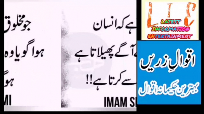 Best collection!! AQWAL E ZAREN IN URDU best words by best personality