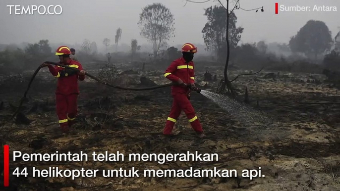 Kabut Asap Makin Parah, Jarak Pandang Hanya 80 Meter