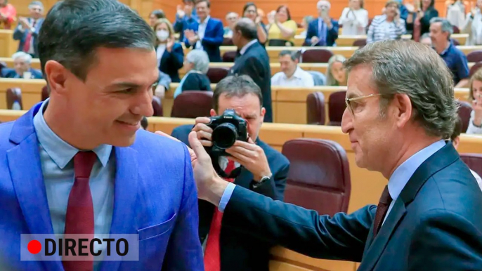 Nuevo encuentro entre Pedro Sánchez y Núñez-Feijóo en el Senado