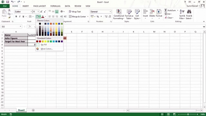 Advance Excel , lesson 2 - Data Entry, Editing, and Number Formatting