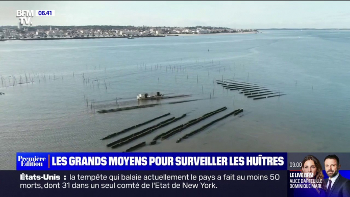 Dans le bassin d'Arcachon, les gendarmes mobilisés pour éviter les vols dans les parcs à huîtres