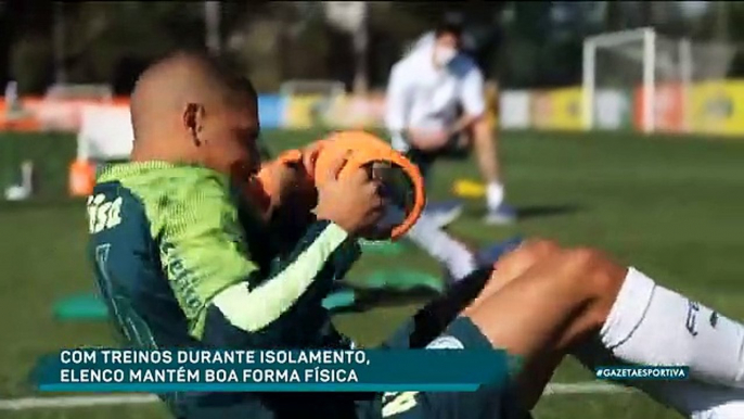 Palmeiras trabalha na Academia para recuperar perdido