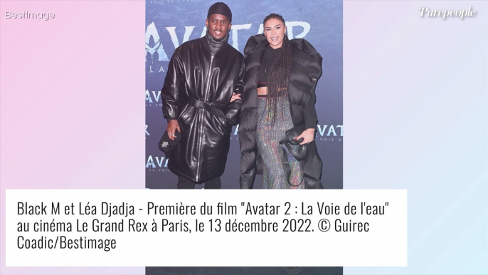 Denitsa Ikonomova et François Alu : Les deux complices s'offrent une belle soirée au cinéma avec Avatar 2