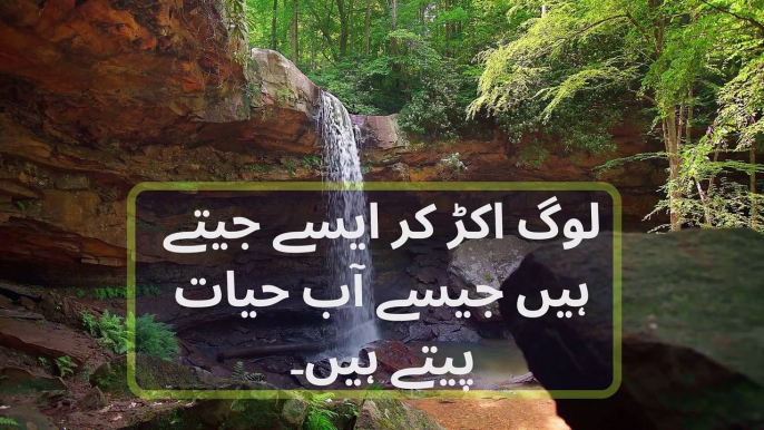 Amazing Urdu Quotations| Best Urdu Quotations| Urdu Quotes|Sad Quotes about life|Life Changing Quote