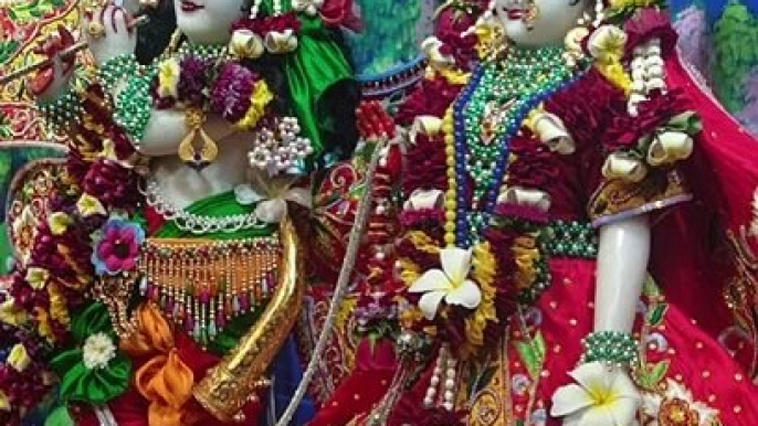 How wonderful is today's darshan of Sri Sri Radha Giridhari at Iskcon Temple Mira Road East Mumbai, Just watch is get blessed.