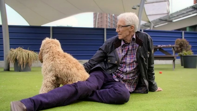Paul O'Grady For the Love of Dogs S10E01