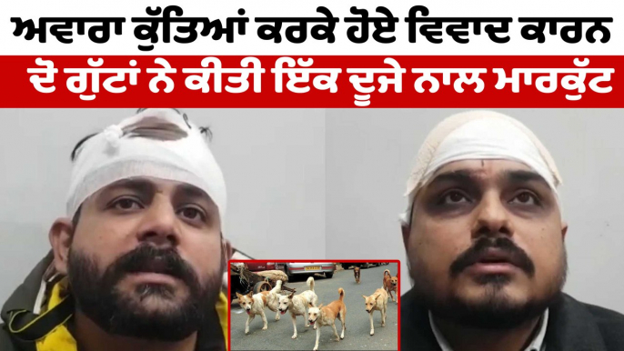 ਅਵਾਰਾ ਕੁੱਤਿਆਂ ਕਰਕੇ ਹੋਇਆ ਵੱਡਾ ਵਿਵਾਦ | Stray Dogs Jalandhar News | OneIndia Punjabi