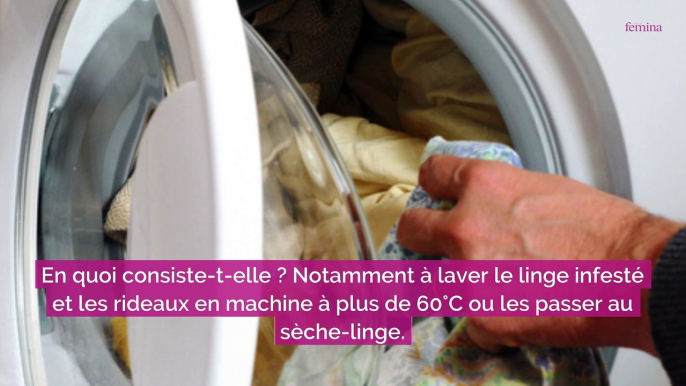 Punaises de lit : les produits chimiques sont à utiliser en dernier recours, plusieurs cas d’intoxications recensés par l’ANSES