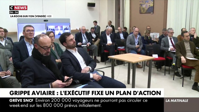 Grippe aviaire: Face à une épizootie catastrophique de grippe aviaire qui a conduit à l'abattage de dizaines de millions de volailles sur le continent, la France souhaite lancer la première vaccination de volailles à l'automne 2023